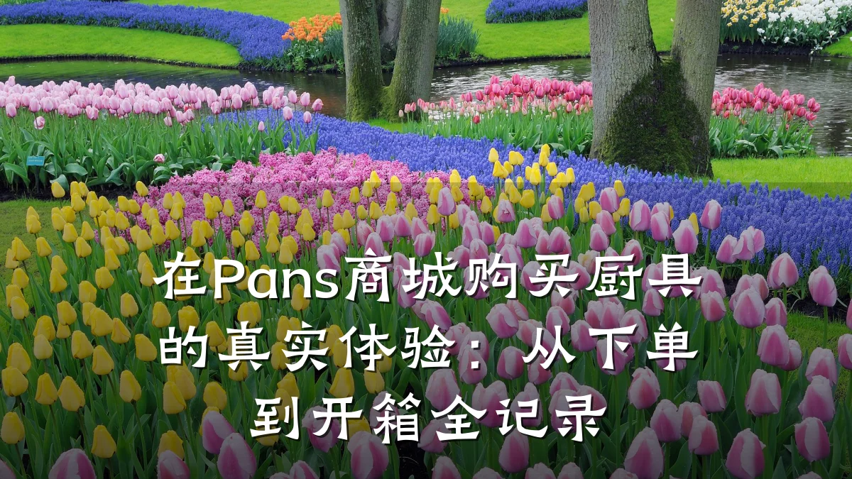 在Pans商城购买厨具的真实体验:从下单到开箱全记录