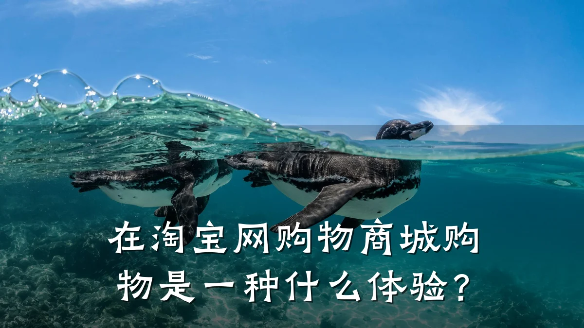 在淘宝网购物商城购物是一种什么体验?