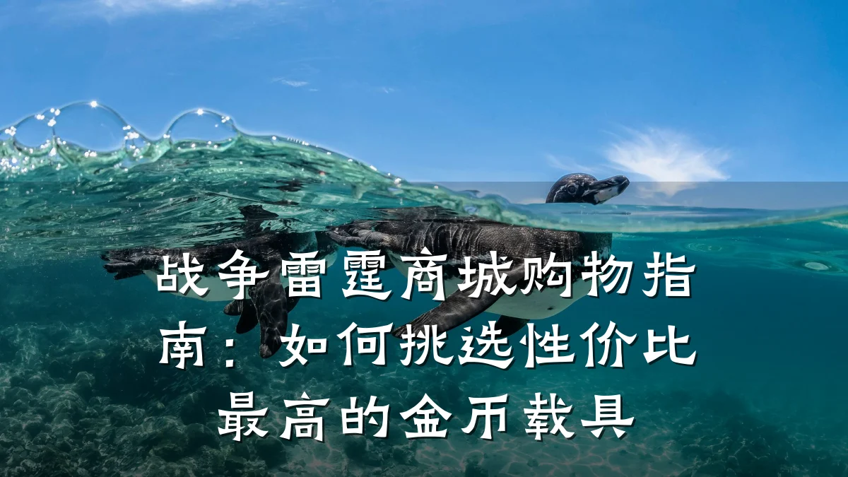 战争雷霆商城购物指南:如何挑选性价比最高的金币载具