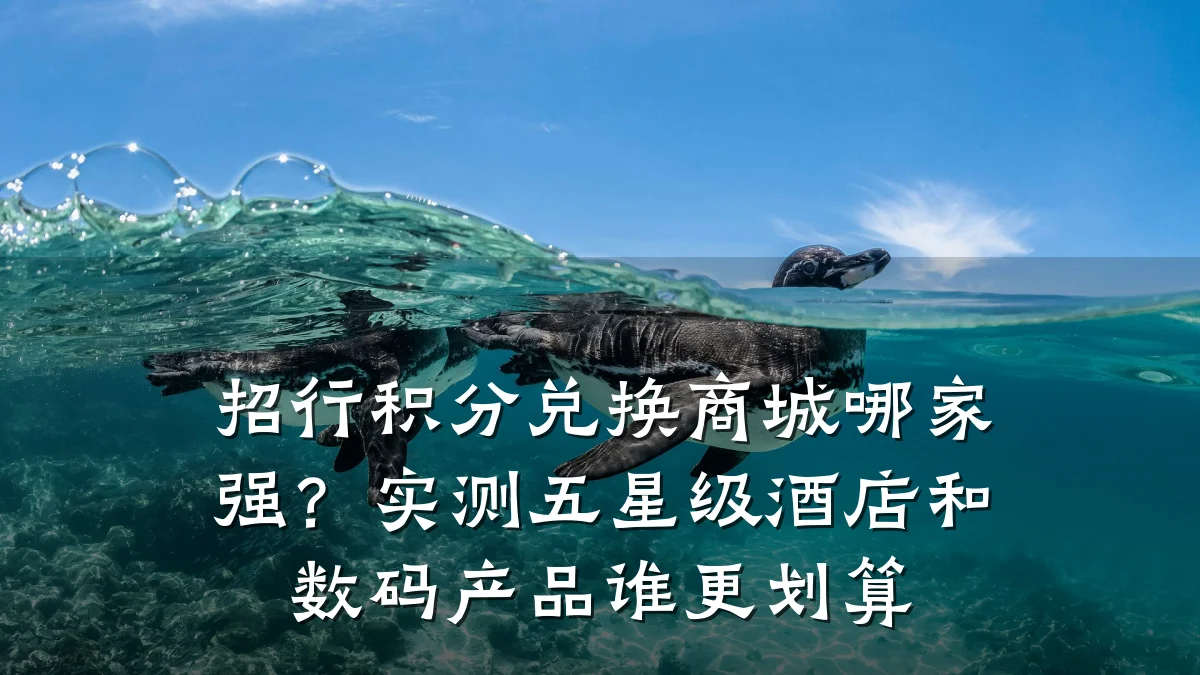 招行积分兑换商城哪家强?实测五星级酒店和数码产品谁更划算