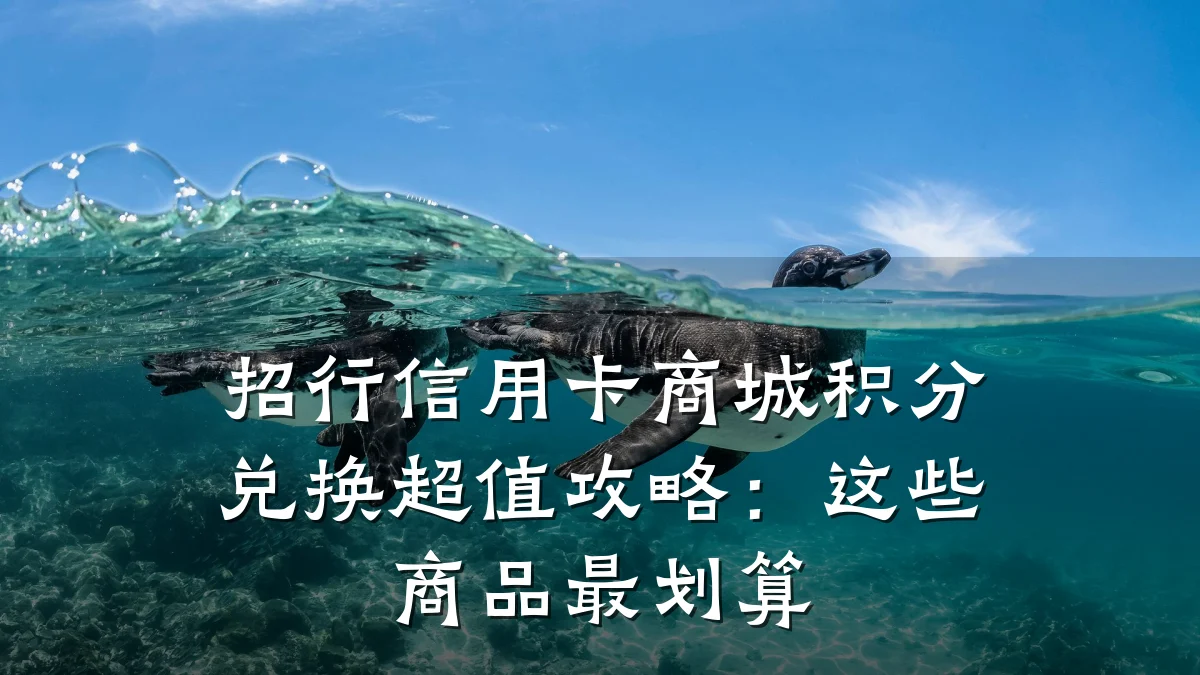 招行信用卡商城积分兑换超值攻略：这些商品最划算