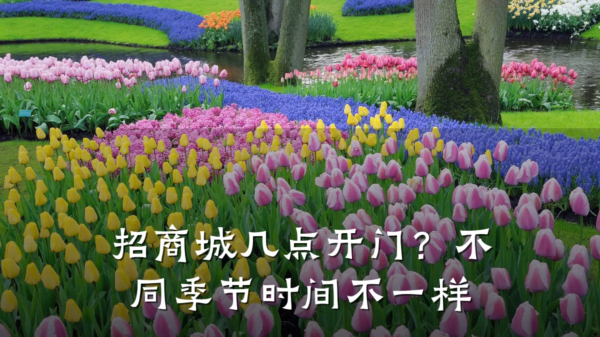 招商城几点开门?不同季节时间不一样