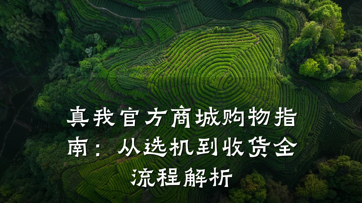 真我官方商城购物指南：从选机到收货全流程解析