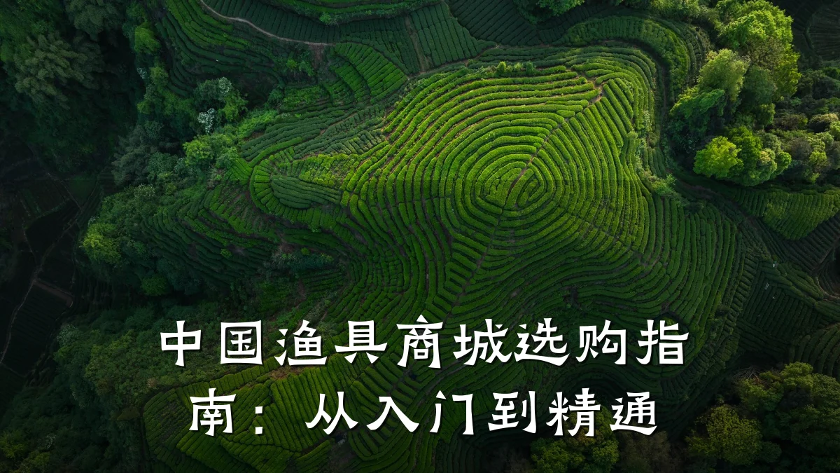 中国渔具商城选购指南：从入门到精通