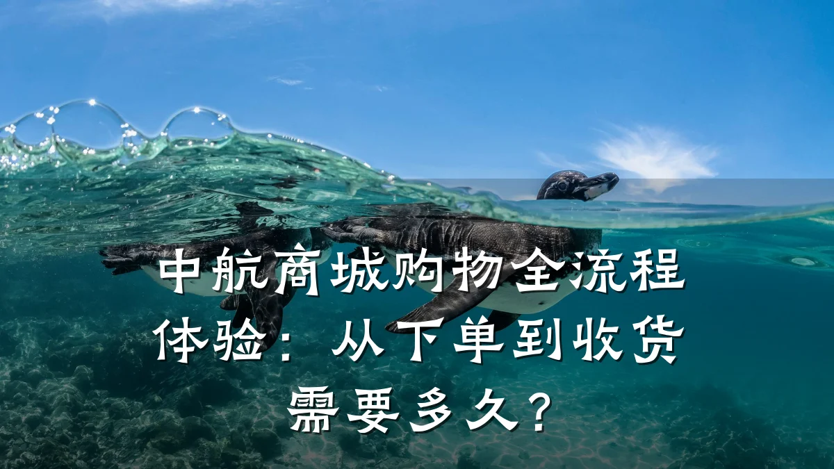 中航商城购物全流程体验：从下单到收货需要多久？
