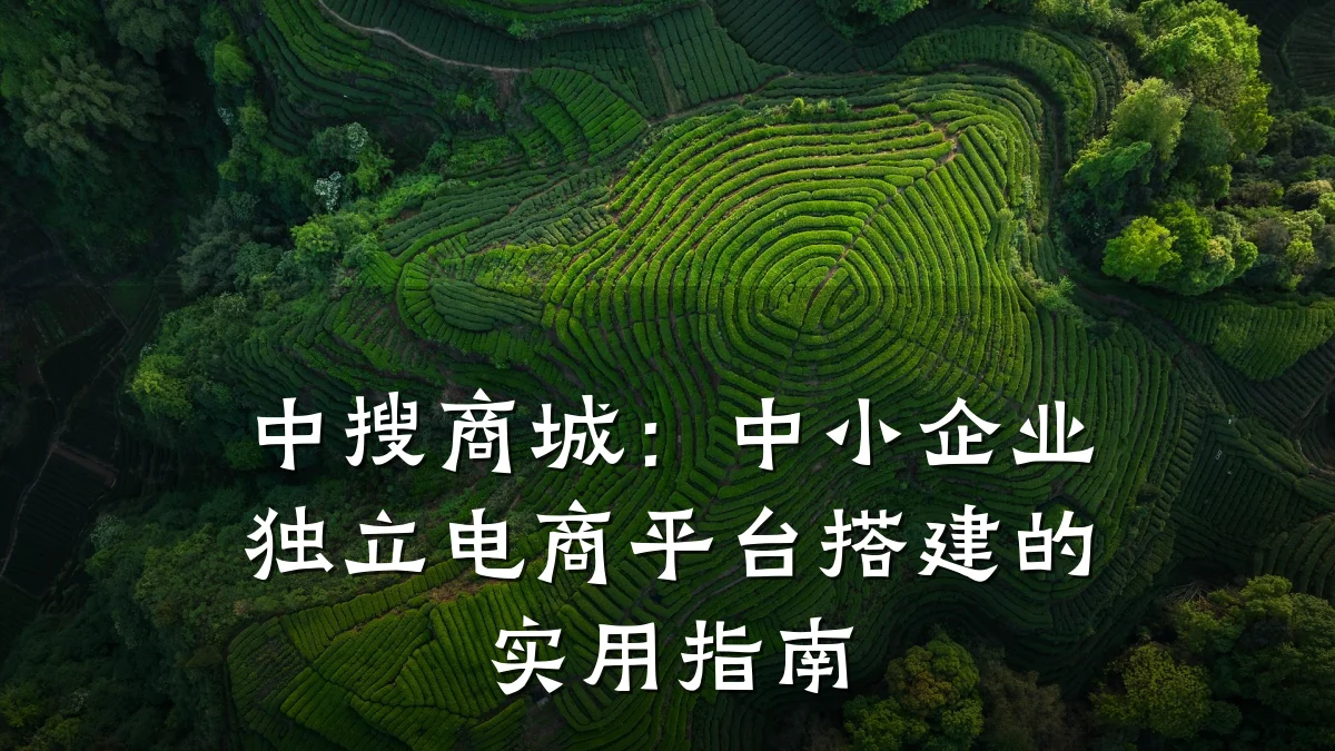 中搜商城：中小企业独立电商平台搭建的实用指南