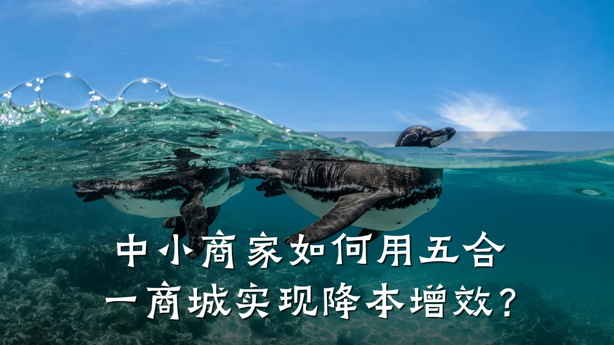 中小商家如何用五合一商城实现降本增效？
