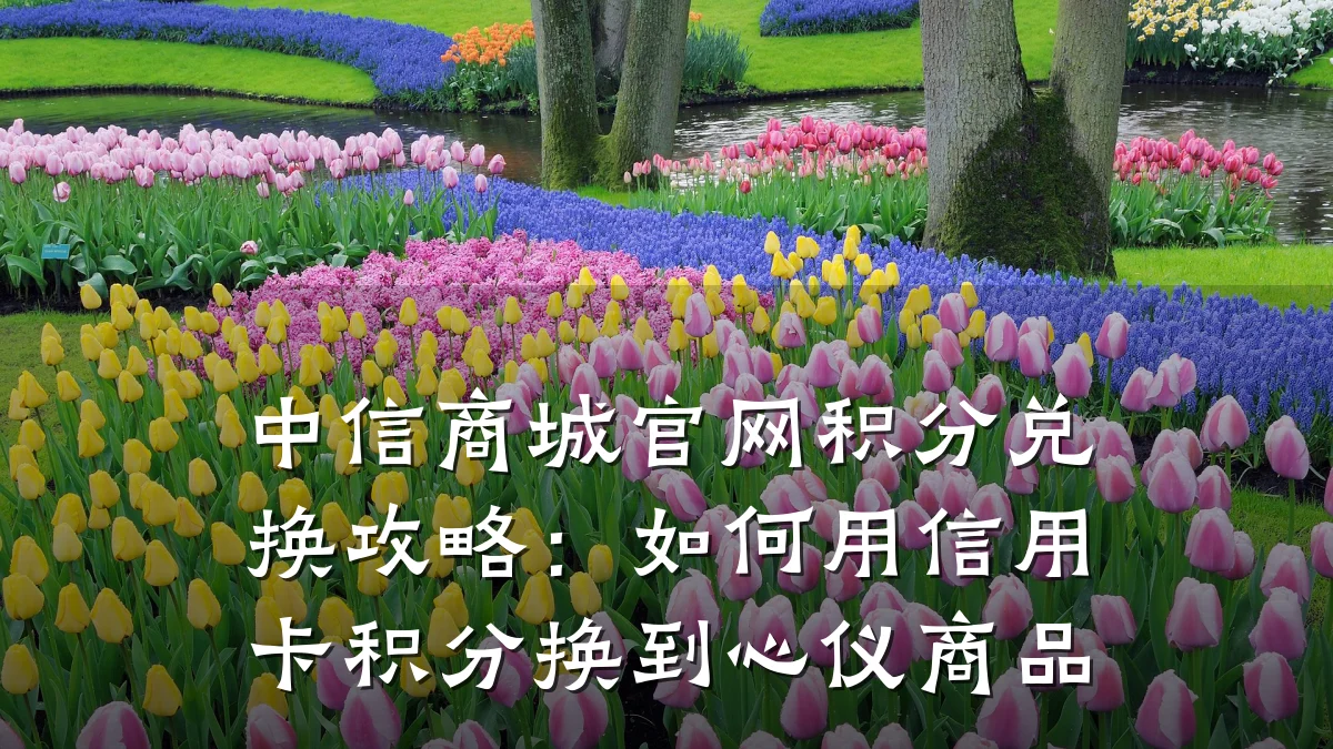 中信商城官网积分兑换攻略：如何用信用卡积分换到心仪商品
