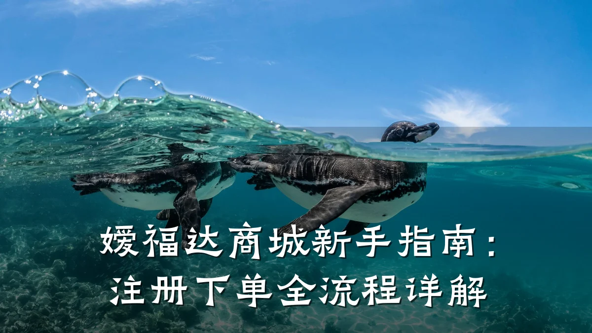 嫒福达商城新手指南：注册下单全流程详解