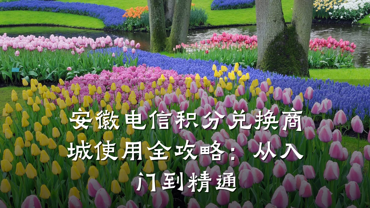 安徽电信积分兑换商城使用全攻略：从入门到精通