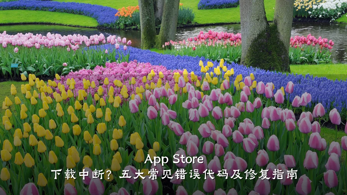 App Store 下载中断？五大常见错误代码及修复指南
