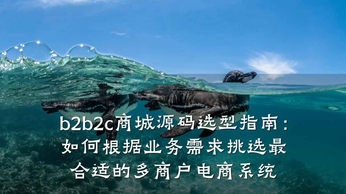 b2b2c商城源码选型指南：如何根据业务需求挑选最合适的多商户电商系统