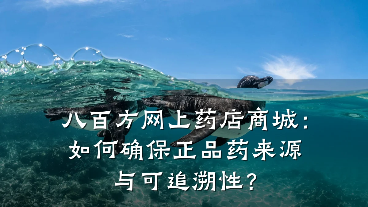 八百方网上药店商城:如何确保正品药来源与可追溯性?
