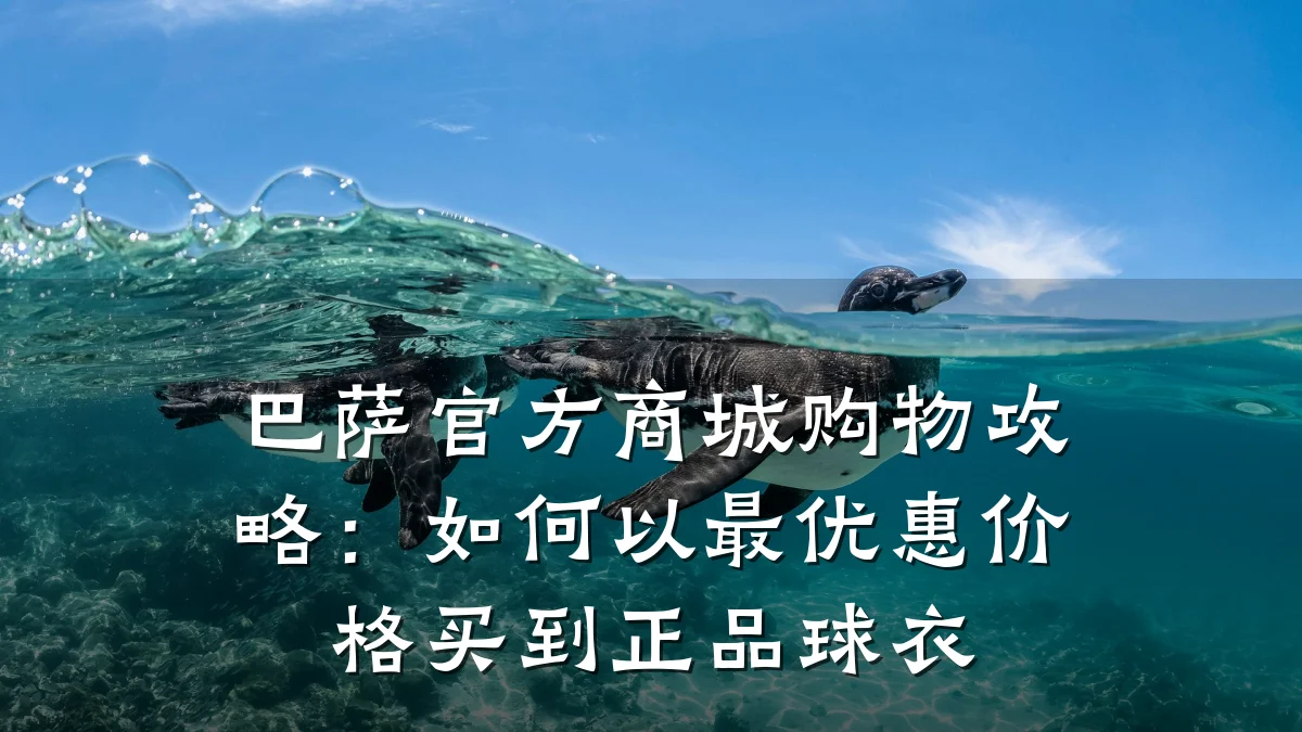 巴萨官方商城购物攻略：如何以最优惠价格买到正品球衣