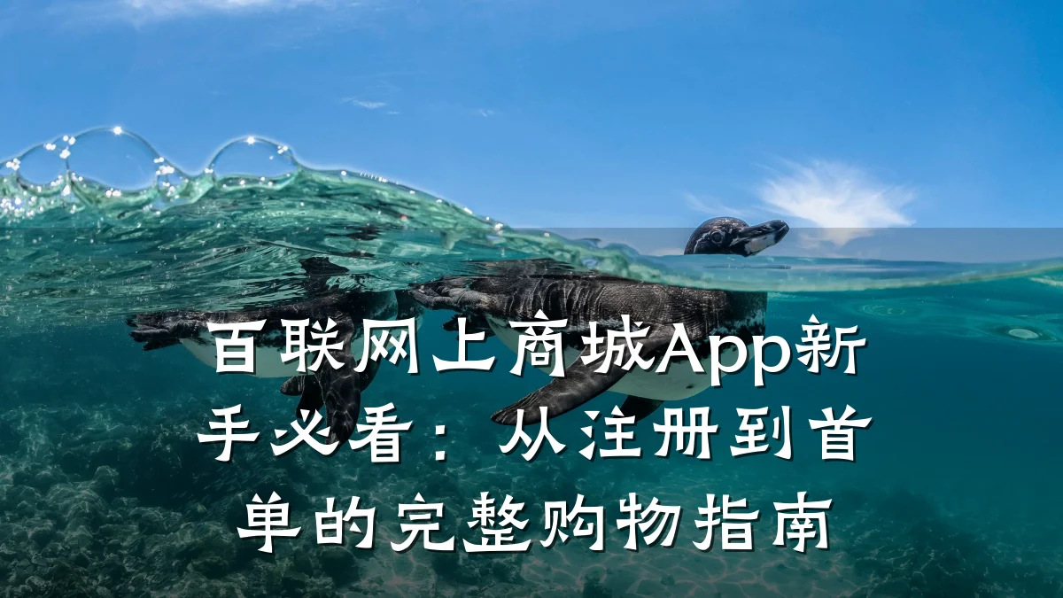 百联网上商城App新手必看:从注册到首单的完整购物指南