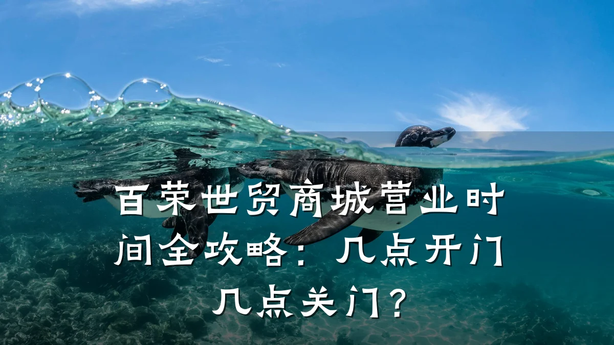 百荣世贸商城营业时间全攻略:几点开门几点关门?