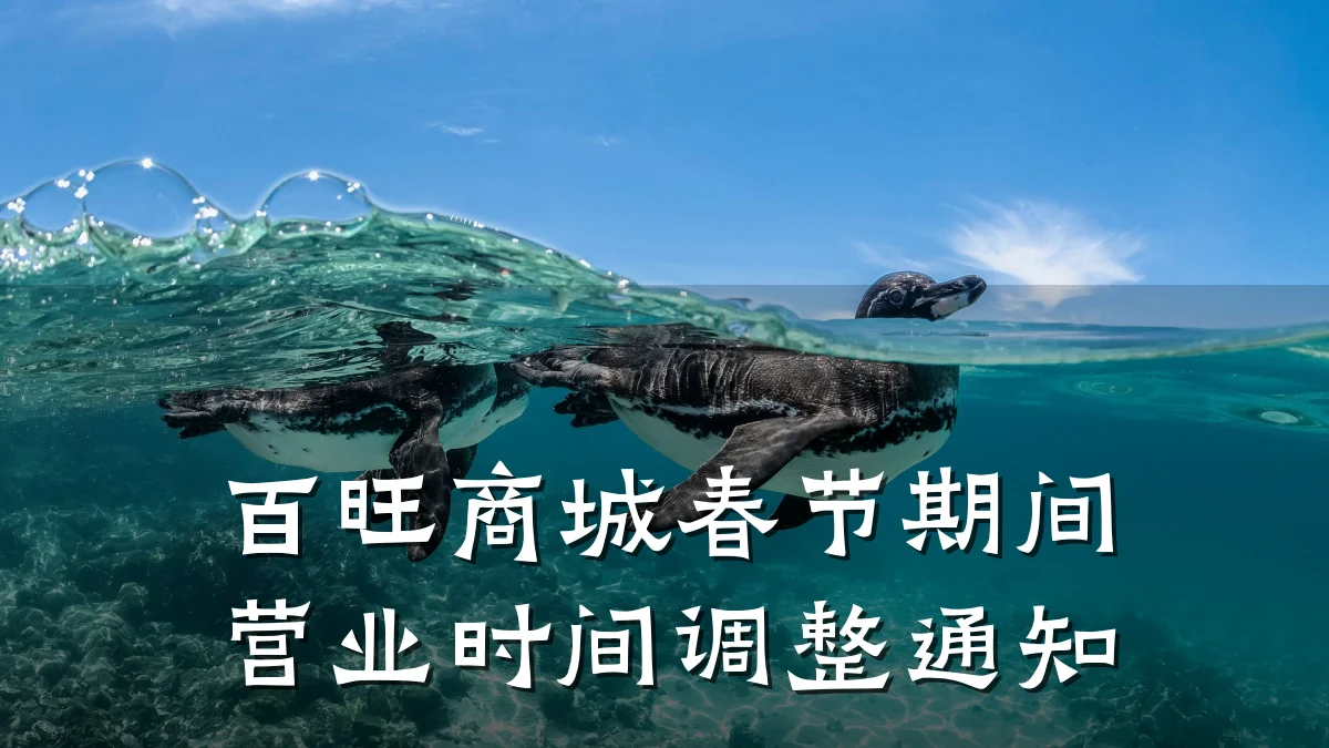 百旺商城春节期间营业时间调整通知