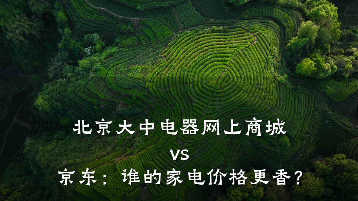 北京大中电器网上商城 vs 京东:谁的家电价格更香?