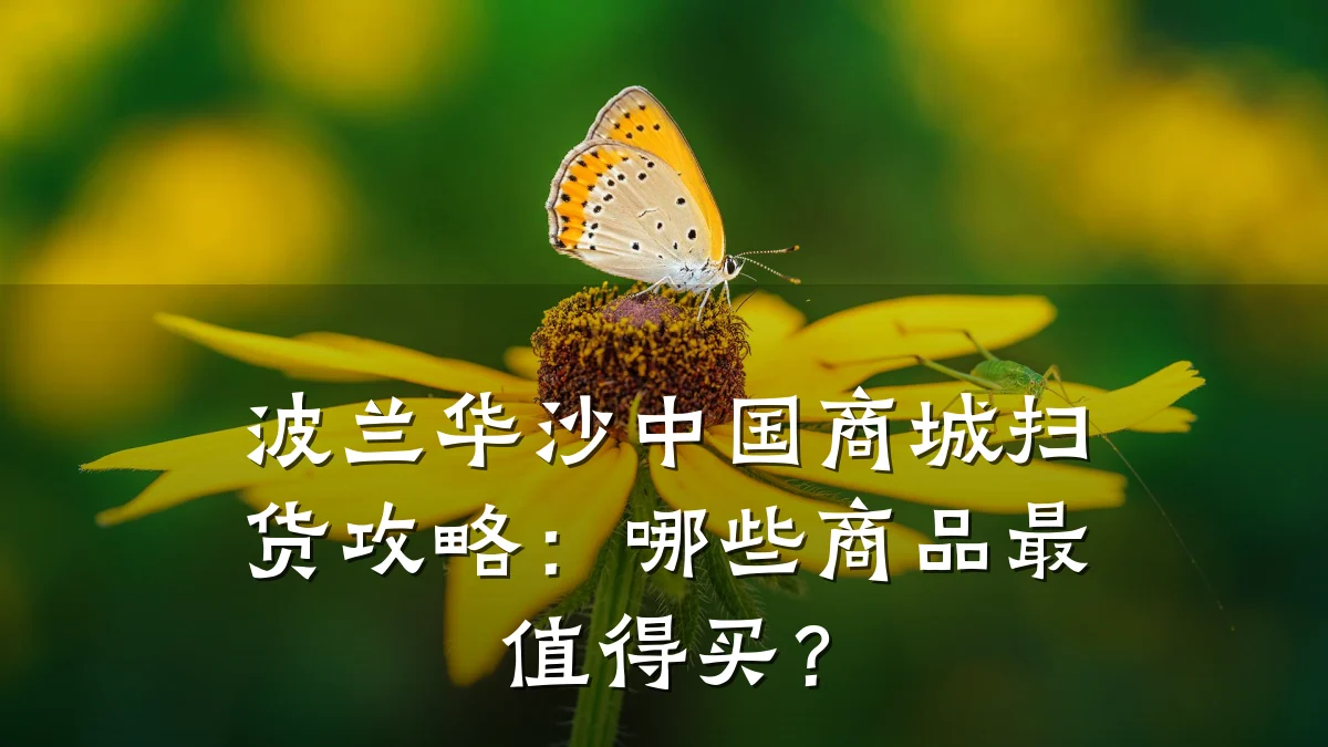 波兰华沙中国商城扫货攻略：哪些商品最值得买？
