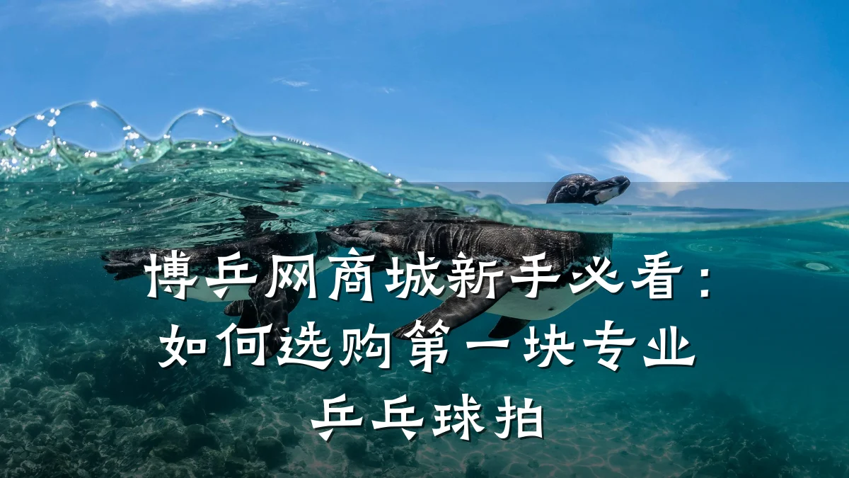 博乒网商城新手必看:如何选购第一块专业乒乓球拍