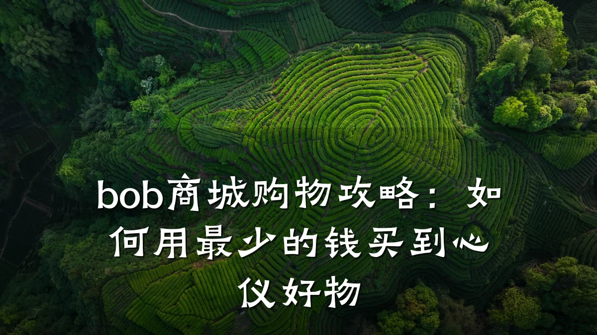 bob商城购物攻略:如何用最少的钱买到心仪好物