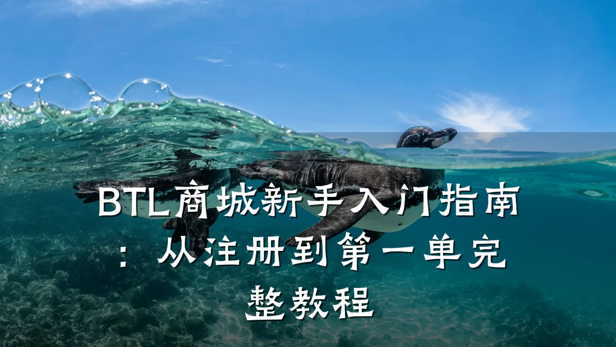 BTL商城新手入门指南：从注册到第一单完整教程