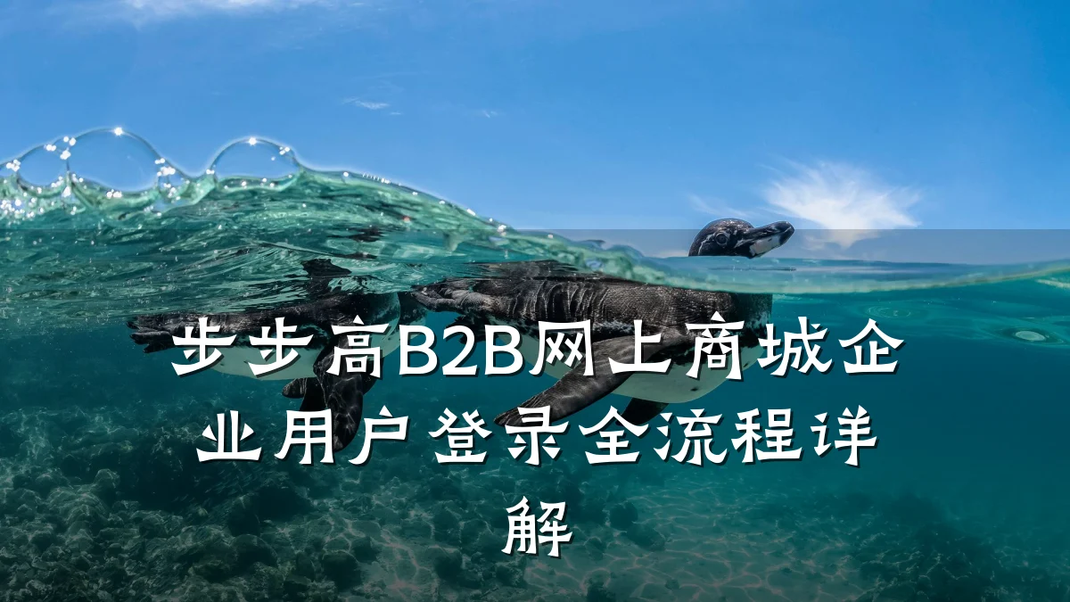 步步高B2B网上商城企业用户登录全流程详解