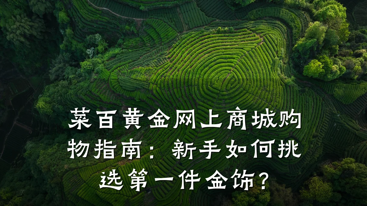 菜百黄金网上商城购物指南：新手如何挑选第一件金饰？