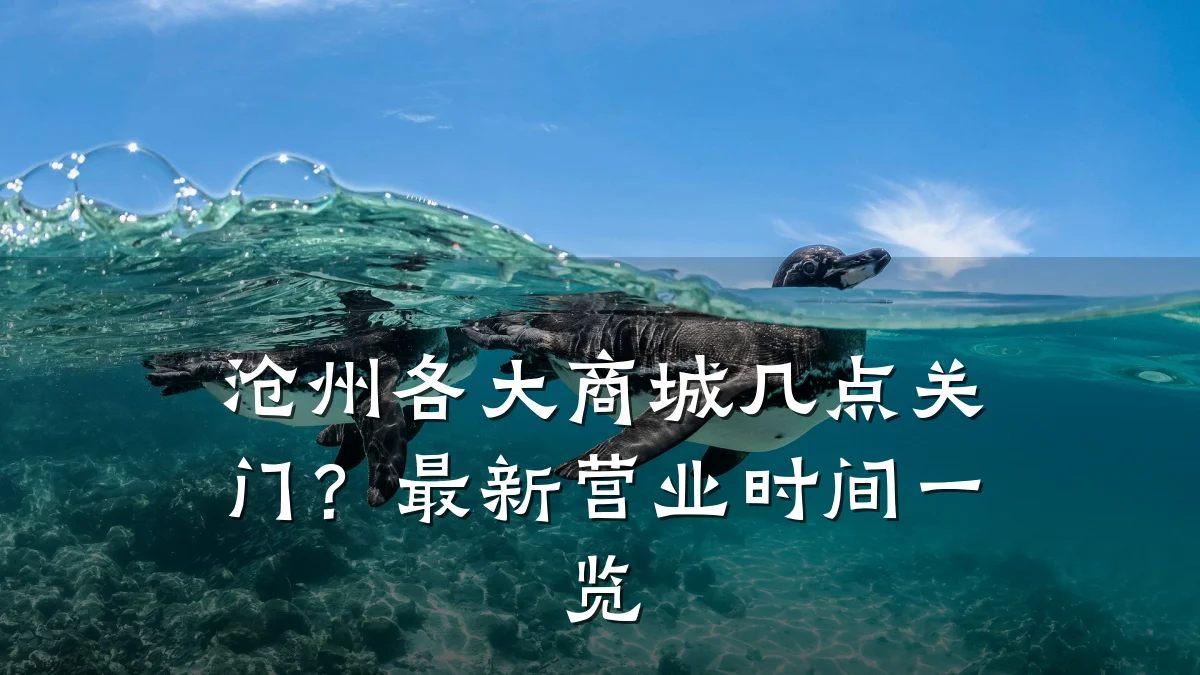 沧州各大商城几点关门?最新营业时间一览