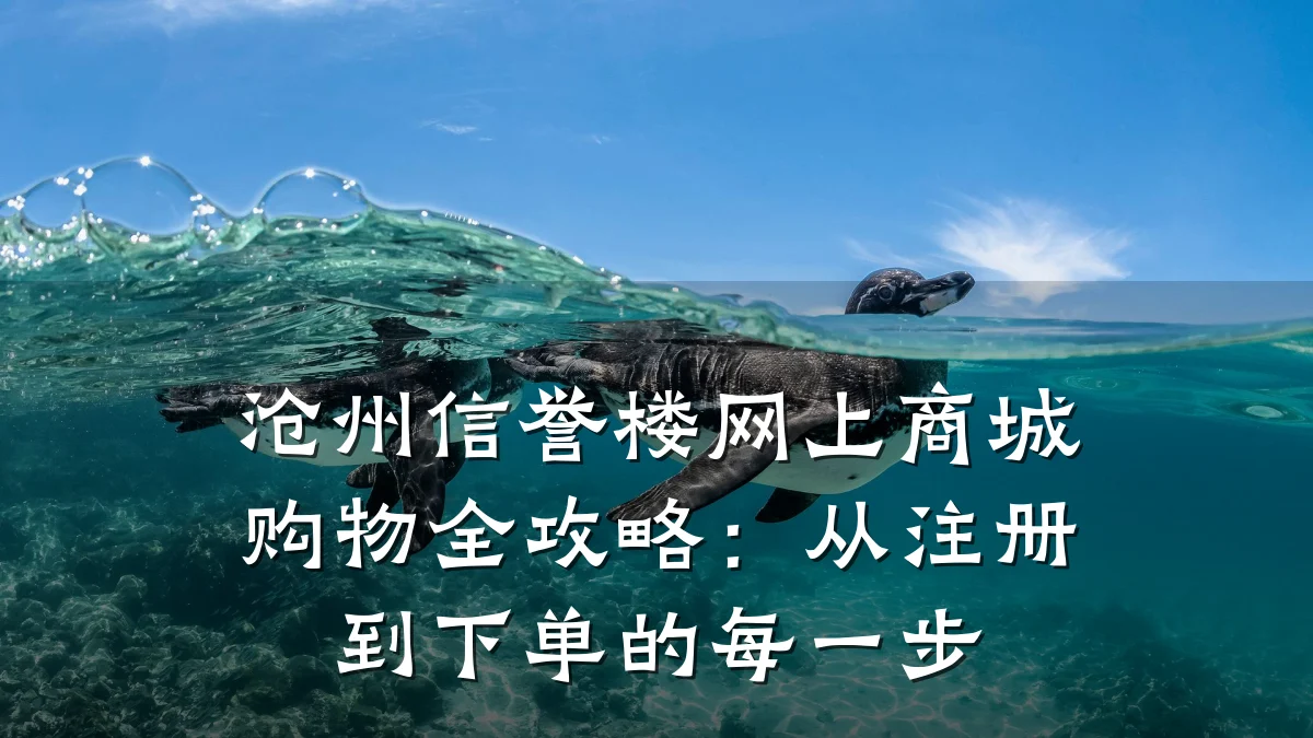 沧州信誉楼网上商城购物全攻略:从注册到下单的每一步