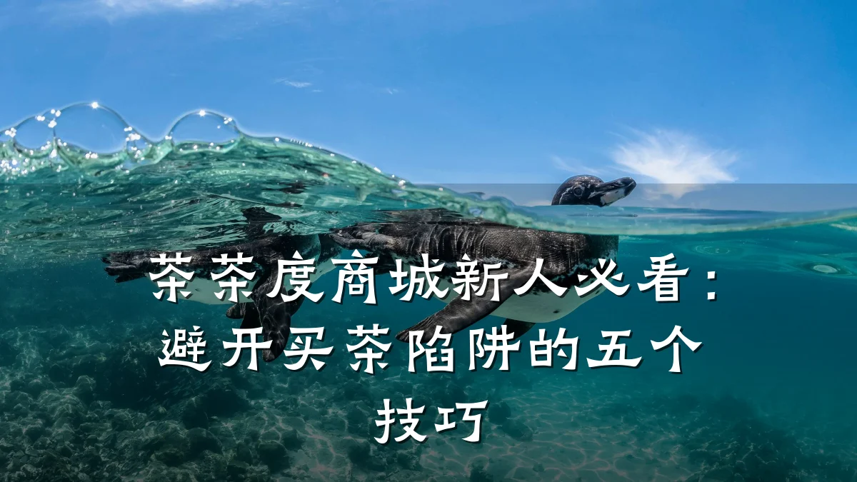 茶茶度商城新人必看：避开买茶陷阱的五个技巧