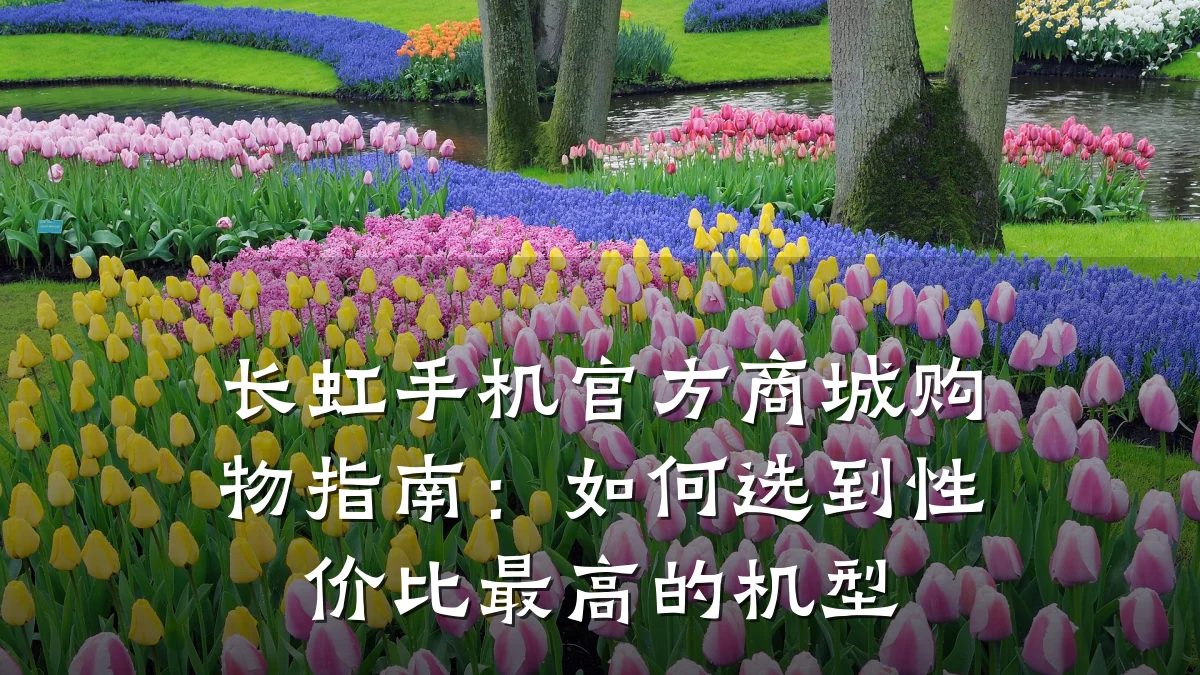 长虹手机官方商城购物指南:如何选到性价比最高的机型