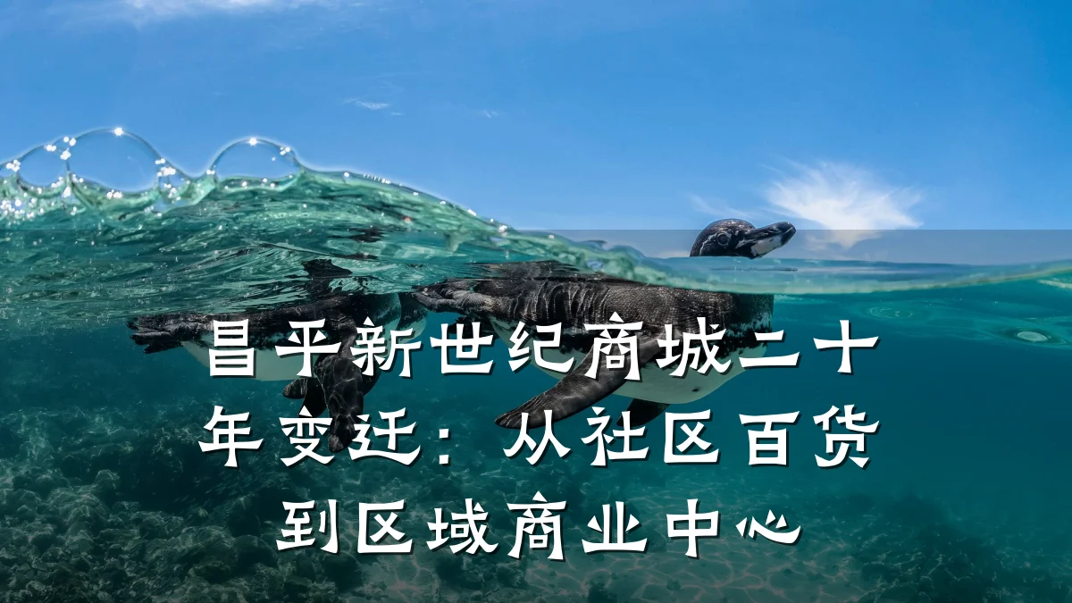 昌平新世纪商城二十年变迁：从社区百货到区域商业中心