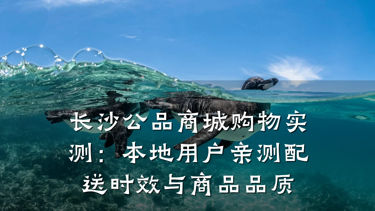 长沙公品商城购物实测:本地用户亲测配送时效与商品品质