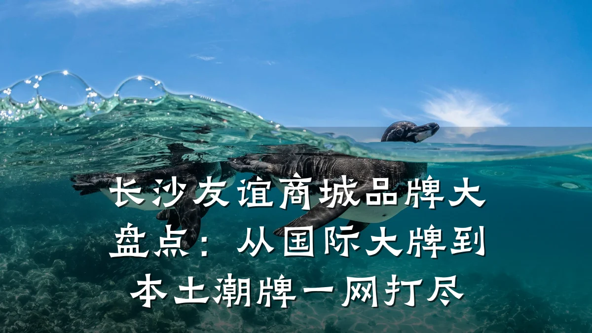长沙友谊商城品牌大盘点:从国际大牌到本土潮牌一网打尽