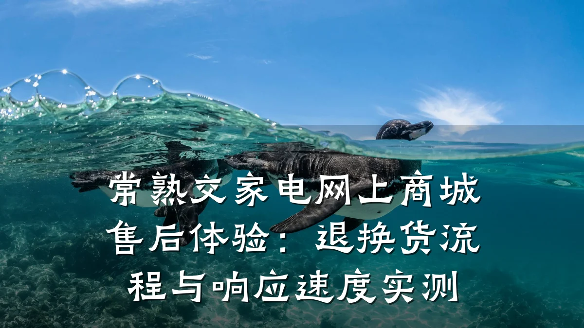 常熟交家电网上商城售后体验：退换货流程与响应速度实测