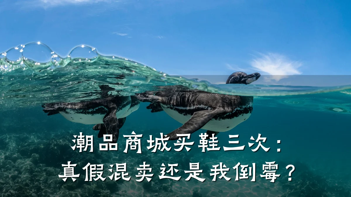 潮品商城买鞋三次：真假混卖还是我倒霉？
