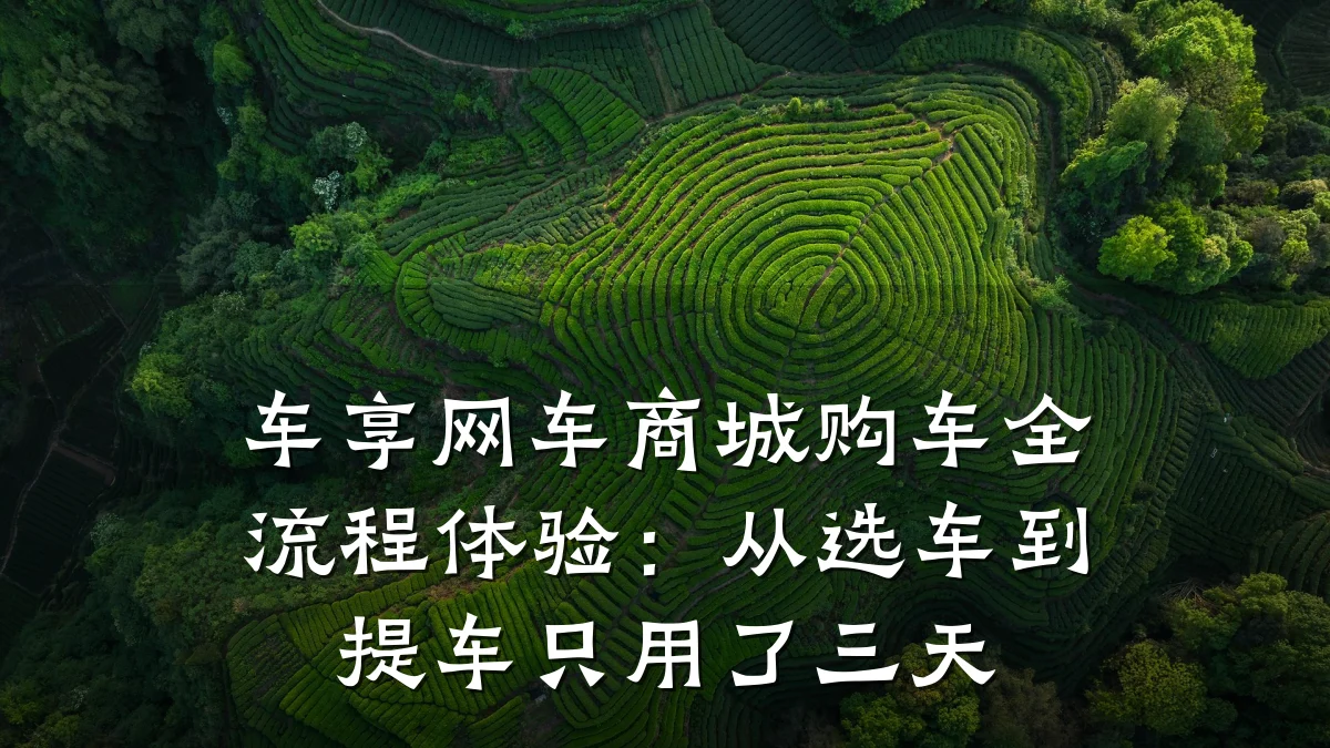 车享网车商城购车全流程体验:从选车到提车只用了三天