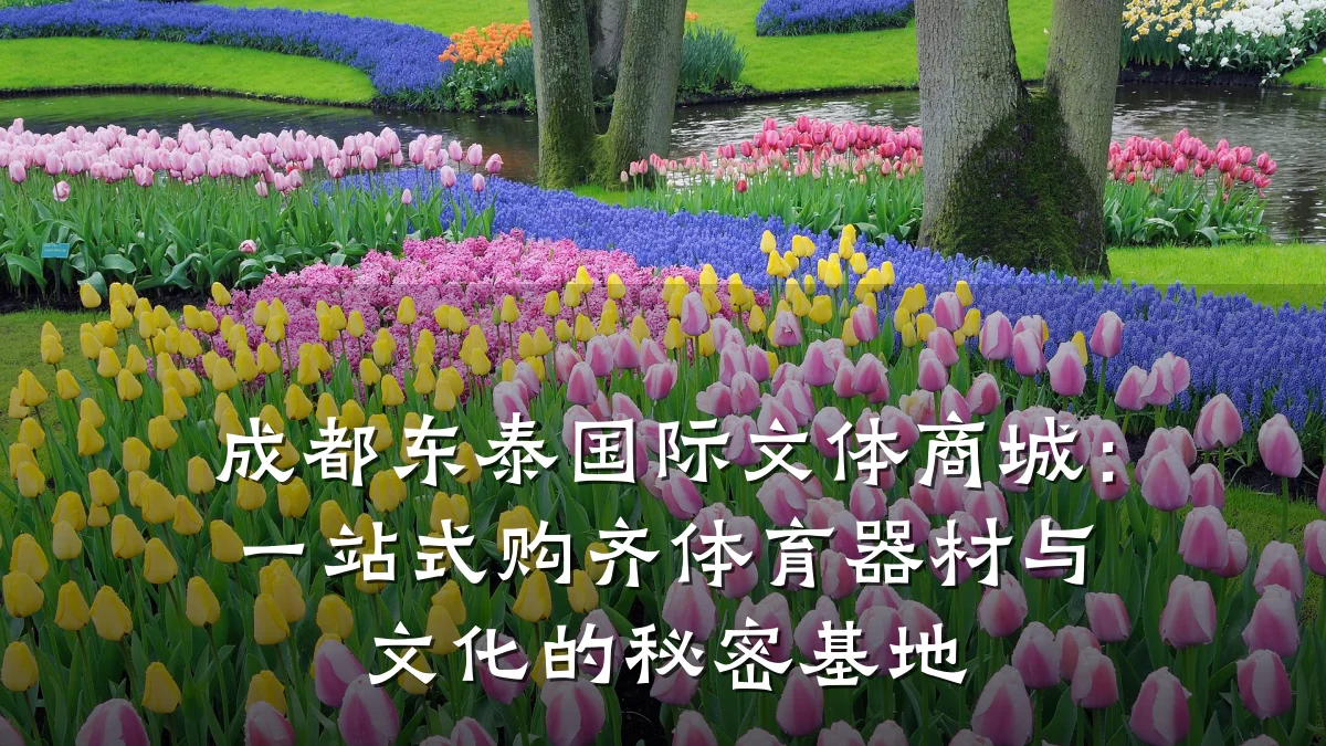 成都东泰国际文体商城：一站式购齐体育器材与文化的秘密基地