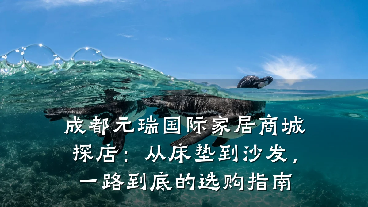 成都元瑞国际家居商城探店：从床垫到沙发，一路到底的选购指南