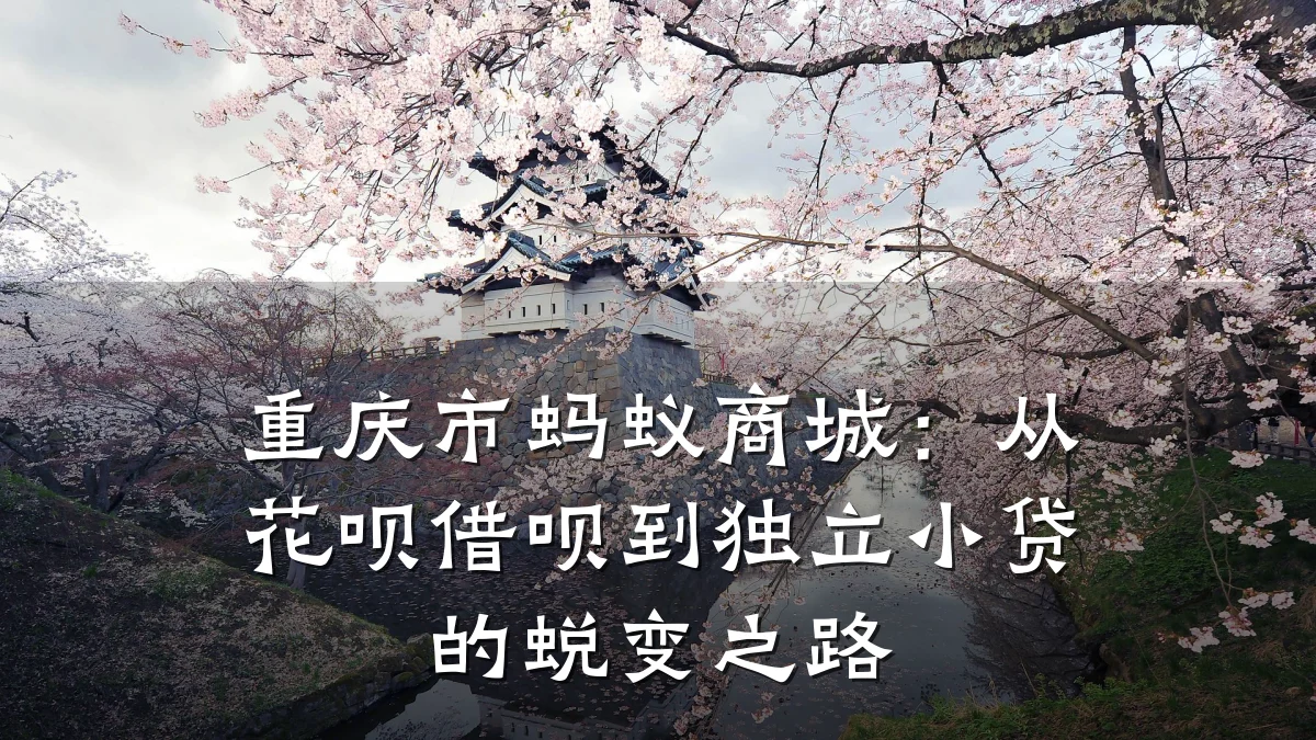 重庆市蚂蚁商城：从花呗借呗到独立小贷的蜕变之路
