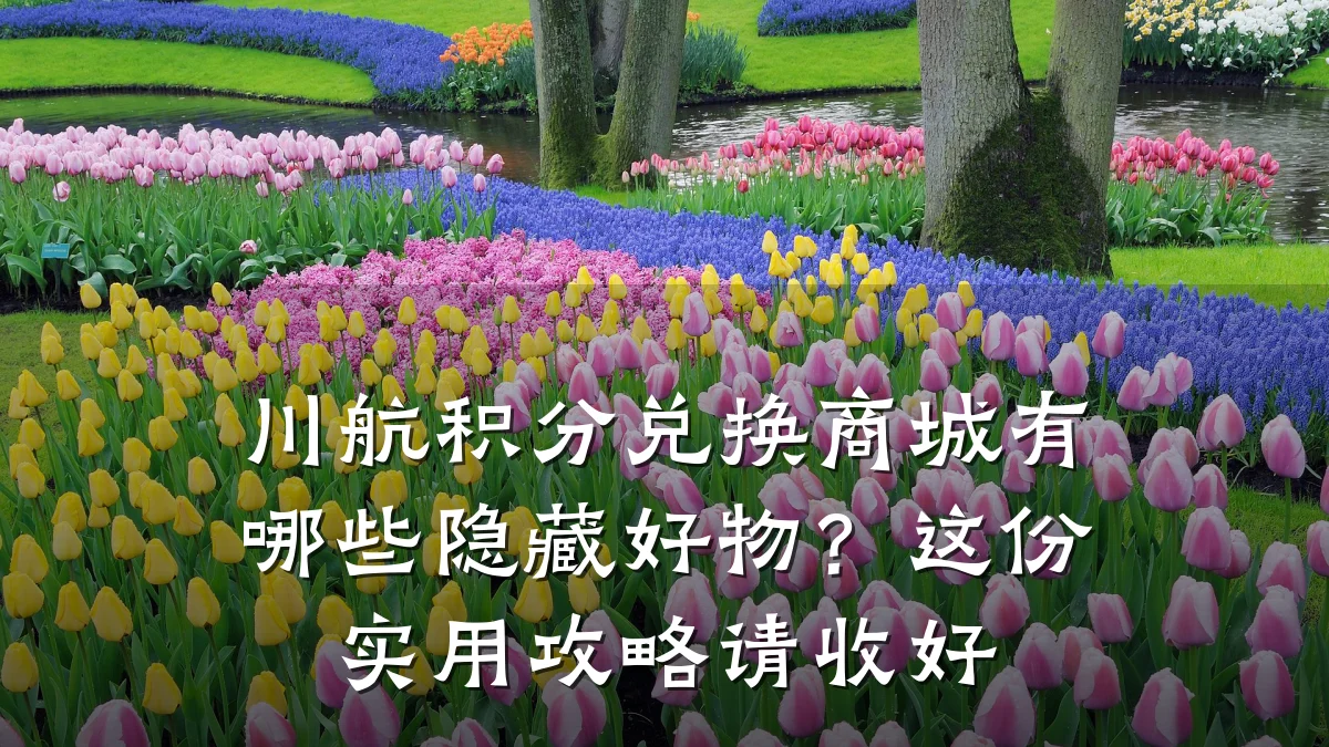 川航积分兑换商城有哪些隐藏好物？这份实用攻略请收好