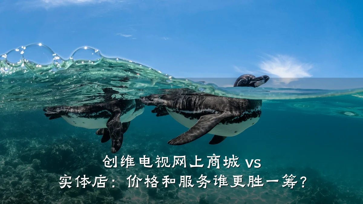 创维电视网上商城 vs 实体店:价格和服务谁更胜一筹?