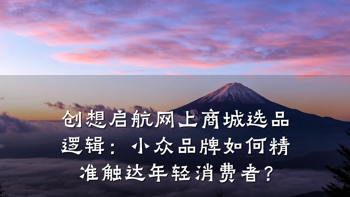 创想启航网上商城选品逻辑:小众品牌如何精准触达年轻消费者?