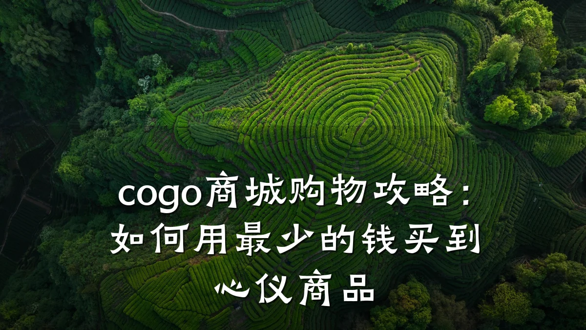 cogo商城购物攻略:如何用最少的钱买到心仪商品
