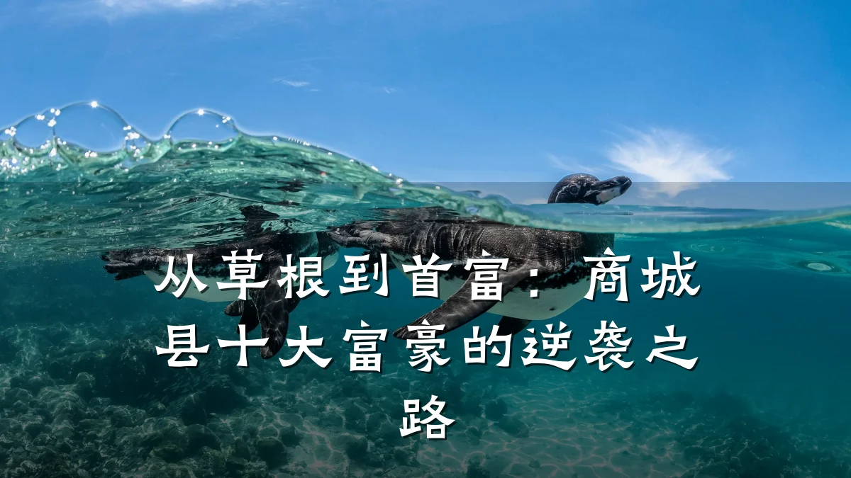 从草根到首富:商城县十大富豪的逆袭之路