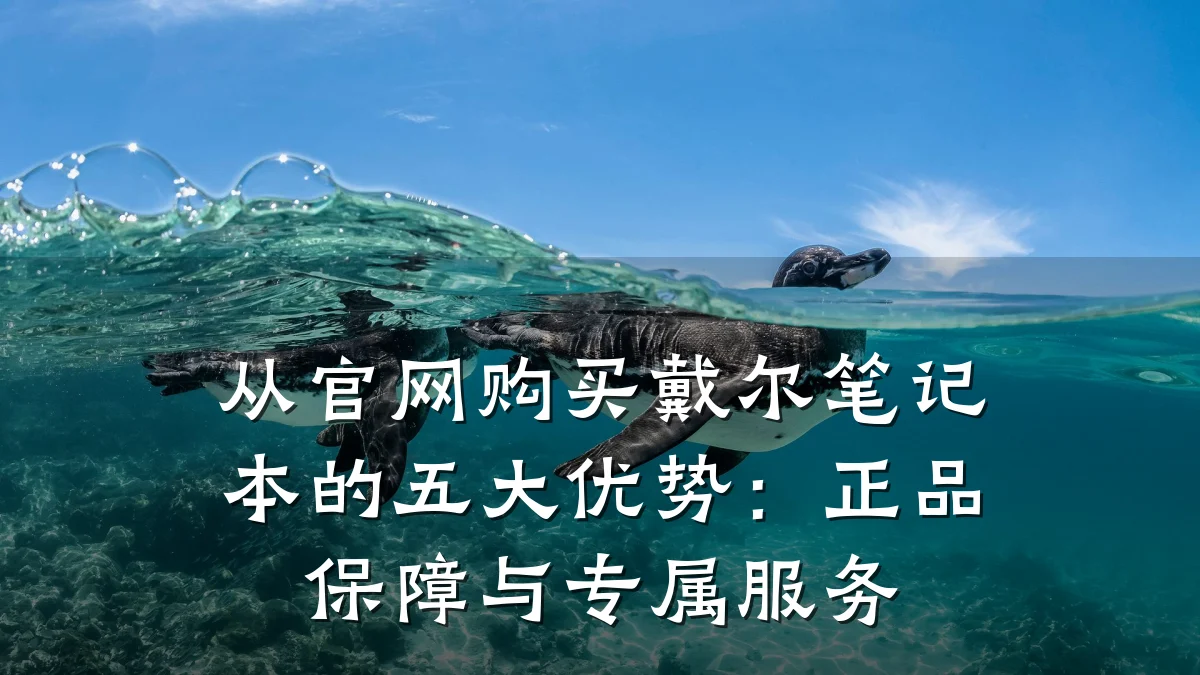 从官网购买戴尔笔记本的五大优势:正品保障与专属服务