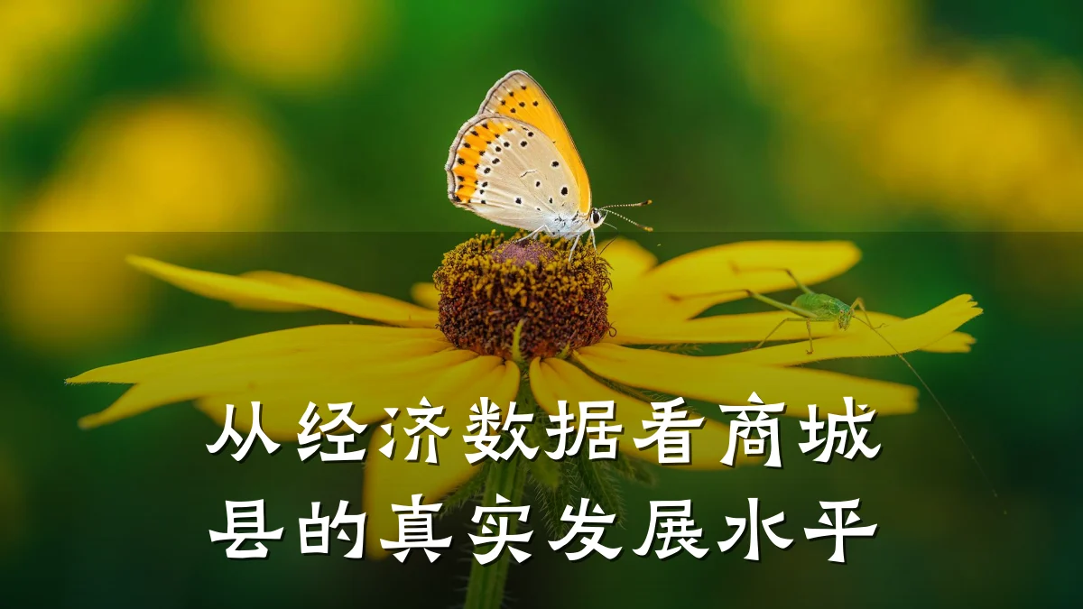 从经济数据看商城县的真实发展水平