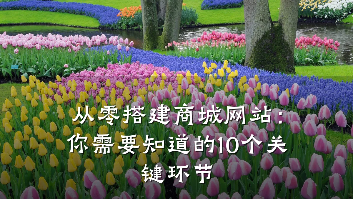 从零搭建商城网站:你需要知道的10个关键环节