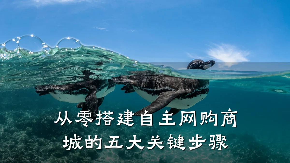 从零搭建自主网购商城的五大关键步骤